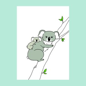 koala's